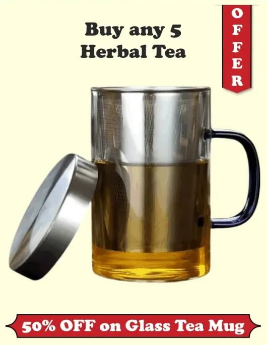 Glass Mug with Blue Handle 500ml – Heat & Fire Resistant