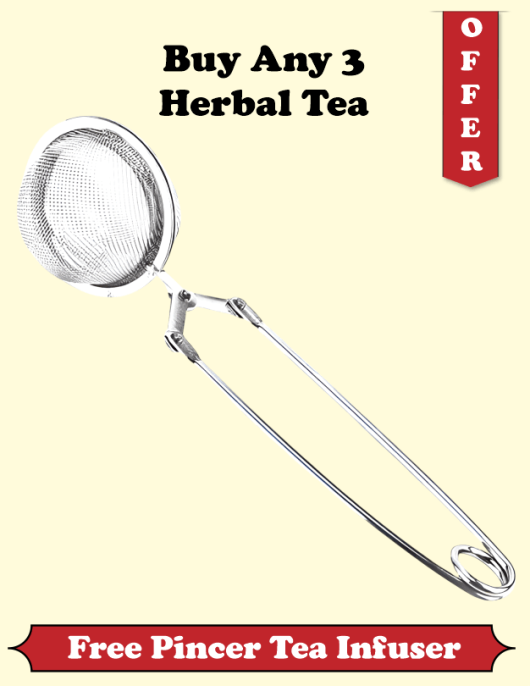 FREE Tea Infuser Mesh Ball with Handle On Purchase of Any 3 Tea Varieties