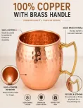 Moscow Mule | Copper Water Benefits 