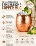 Moscow Mule | Copper Water Benefits 