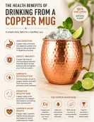 Moscow Mule | Copper Water Benefits 