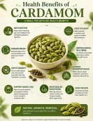 Premium Green Cardamom Pods - Pure Elaichi for Tea, Cooking & Wellness - 200g Premium Green Cardamom Pods - Pure Elaichi for Tea, Cooking & Wellness - 200g