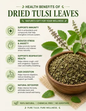 Dried Tulsi Leaves 100g | Pure Ayurvedic Holy Basil