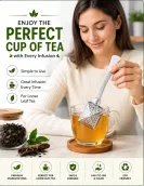 Stainless Steel Square Tea Infuser