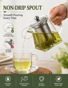 Pyramid Borosilicate Glass Teapot with SS Infuser — 550ml