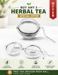 Stainless Steel Tea Infuser with Chain | Free with Any 2 Teas