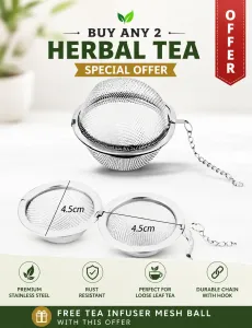 Stainless Steel Tea Infuser with Chain | Free with Any 2 Teas