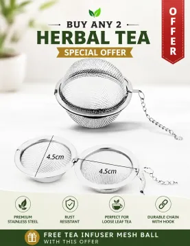 Stainless Steel Tea Infuser with Chain | Free with Any 2 Teas