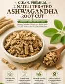 Ashwagandha Tea Cut – 100gm | Buy Ashwagandha Tea Online Ashwagandha Tea Cut – 100gm | Buy Ashwagandha Tea Online