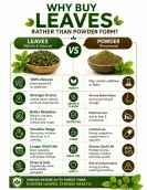 Dried Tulsi Leaves 100g | Pure Ayurvedic Holy Basil